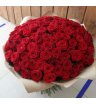 101 красная роза «Незабываемый»