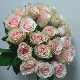21 роза «Фрутетта» от интернет-магазина «Даниэль» в Астрахани