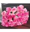Букет из 35 розовых роз «Моя бесконечность»