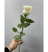 Роза микс в ассортименте (1 шт) 7